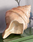 Capiz shell decorative object