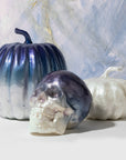 Large capiz pumpkin, blue ombre