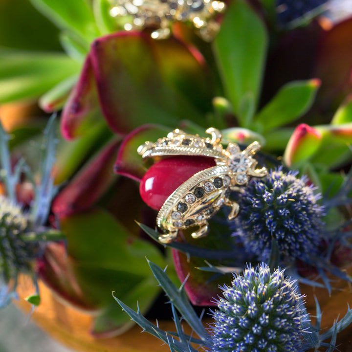 Gorgeous Gatherings – Set the Mood for Thanksgiving