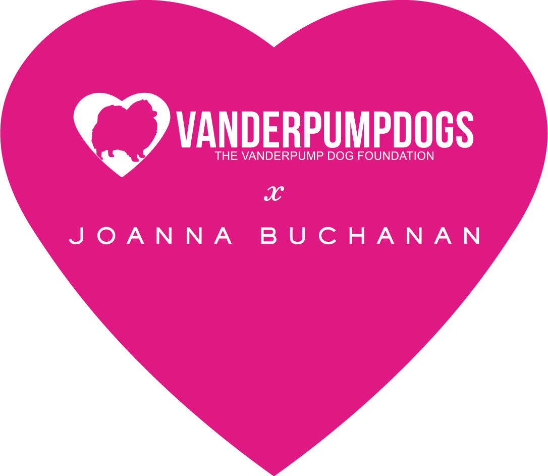 Vanderpump Dogs x JB pink pug hanging ornament