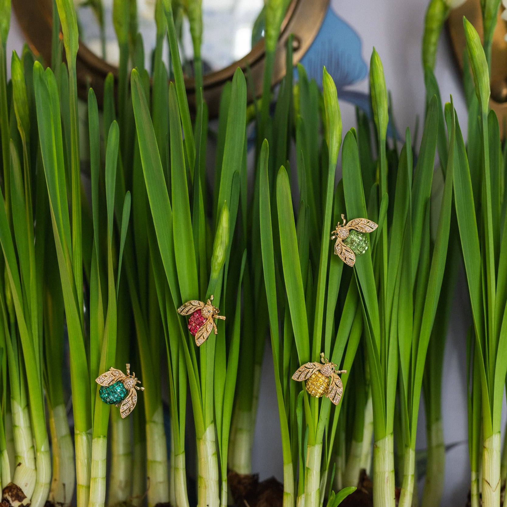 Sparkle bee clips boxed set, rainbow