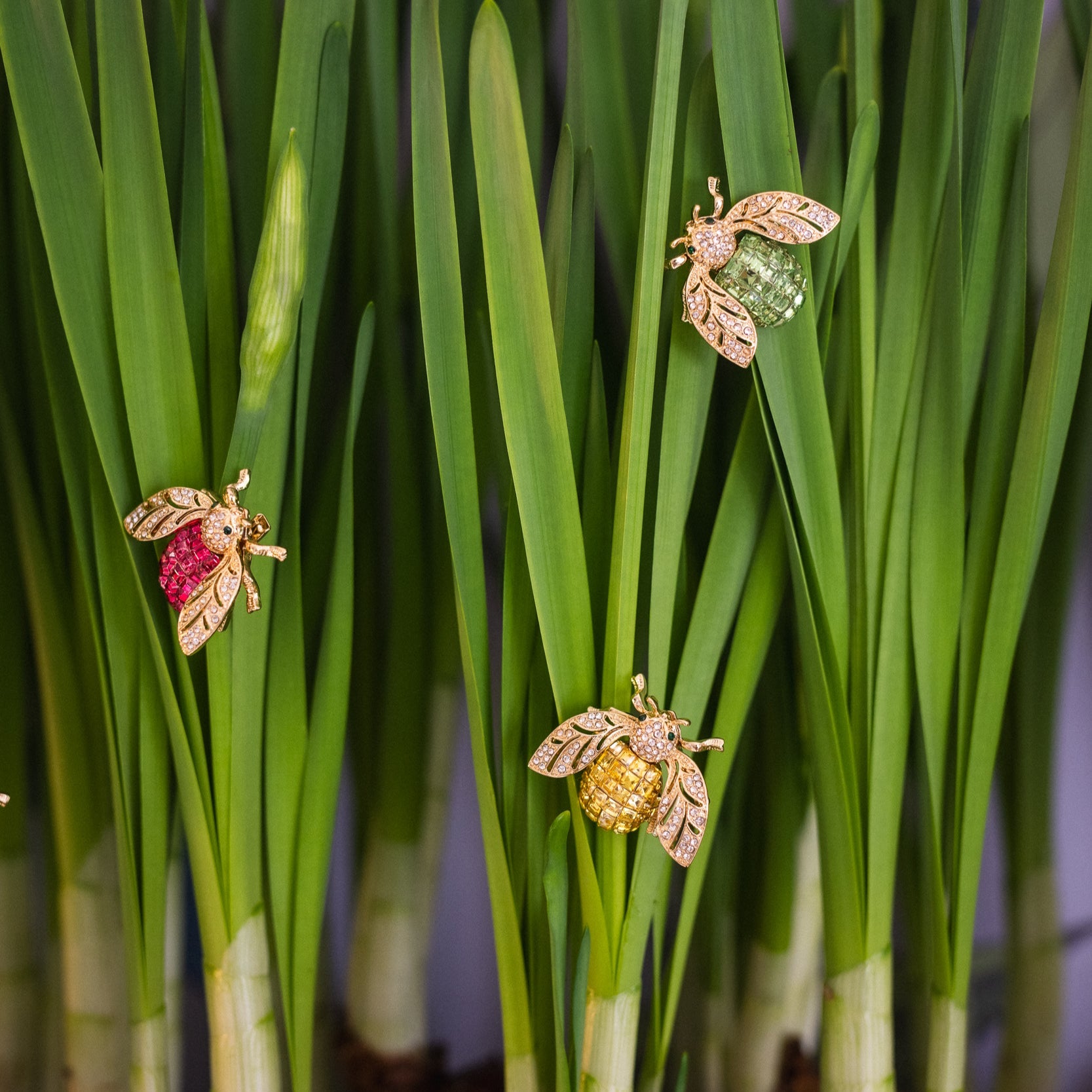 Sparkle bee clips boxed set, rainbow