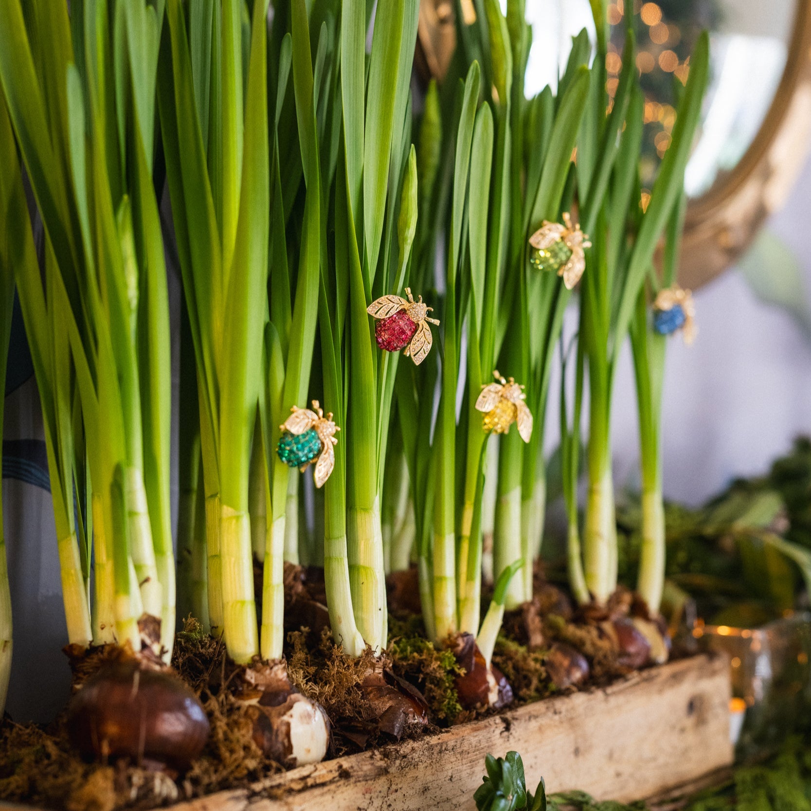 Sparkle bee clips boxed set, rainbow