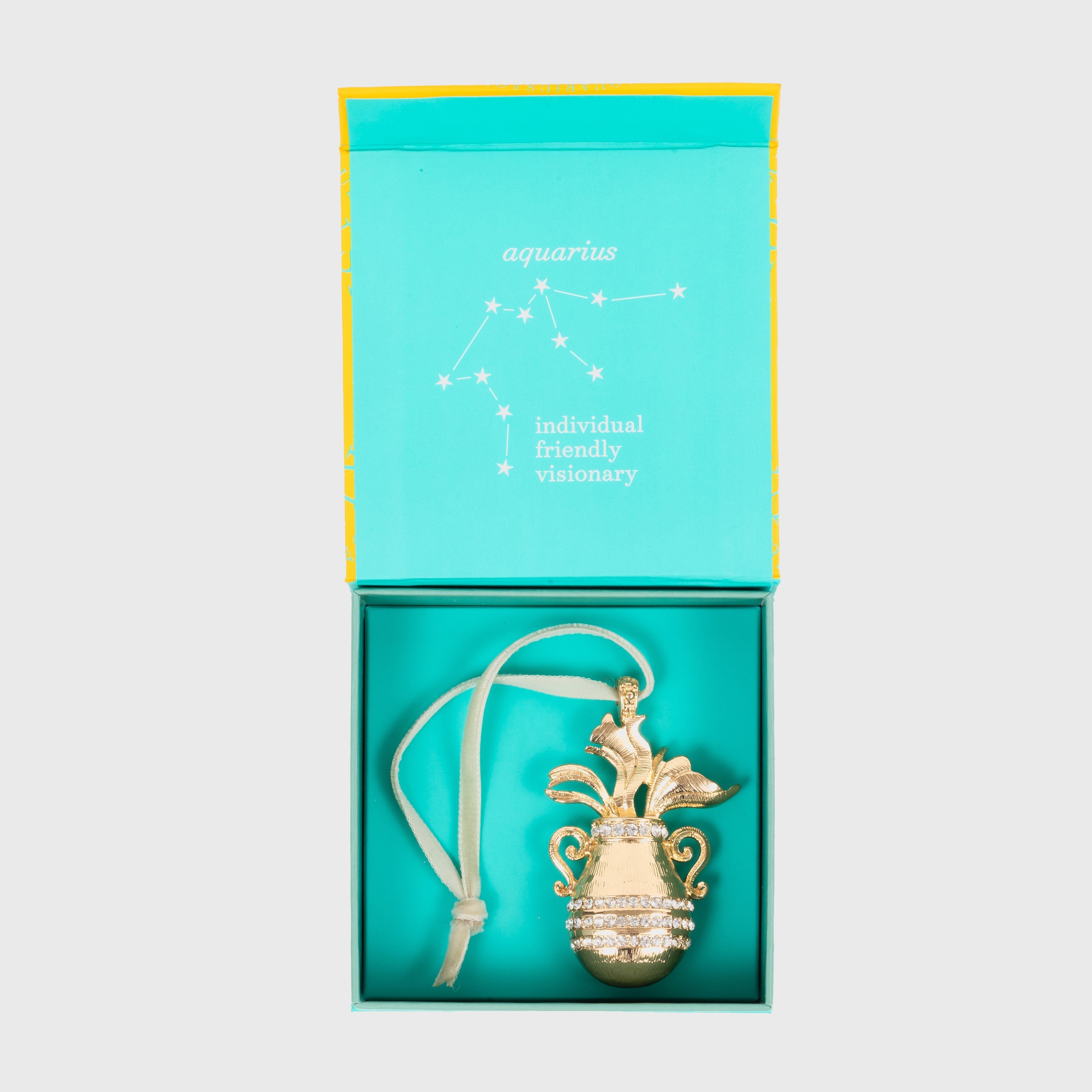 Aquarius hanging ornament